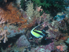 P4260040.JPG