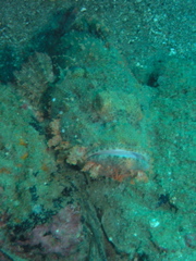 P4230130.JPG