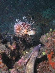 P4230260.JPG