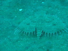 P4240411.JPG
