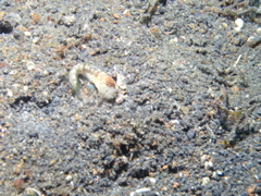 P4230204.JPG