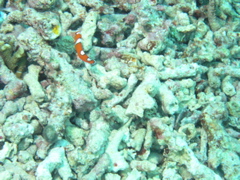 P4270053.JPG