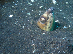P4240320.JPG