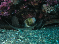 P4240355.JPG