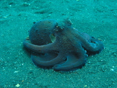 P4240349.JPG