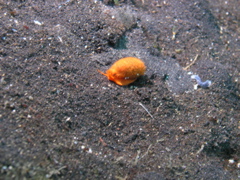 P4240009.JPG