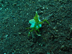 P4240338.JPG