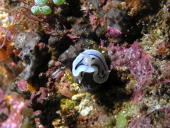 P4260025.JPG