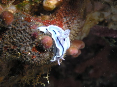 P4260038.JPG