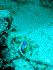P4260091.JPG
