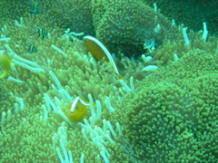 P4220047.JPG
